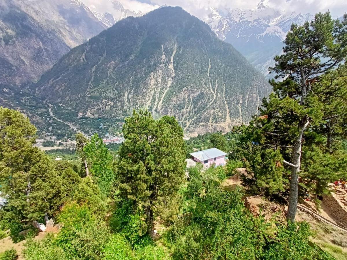 The Shudarang Inn Kalpa Bagian luar foto