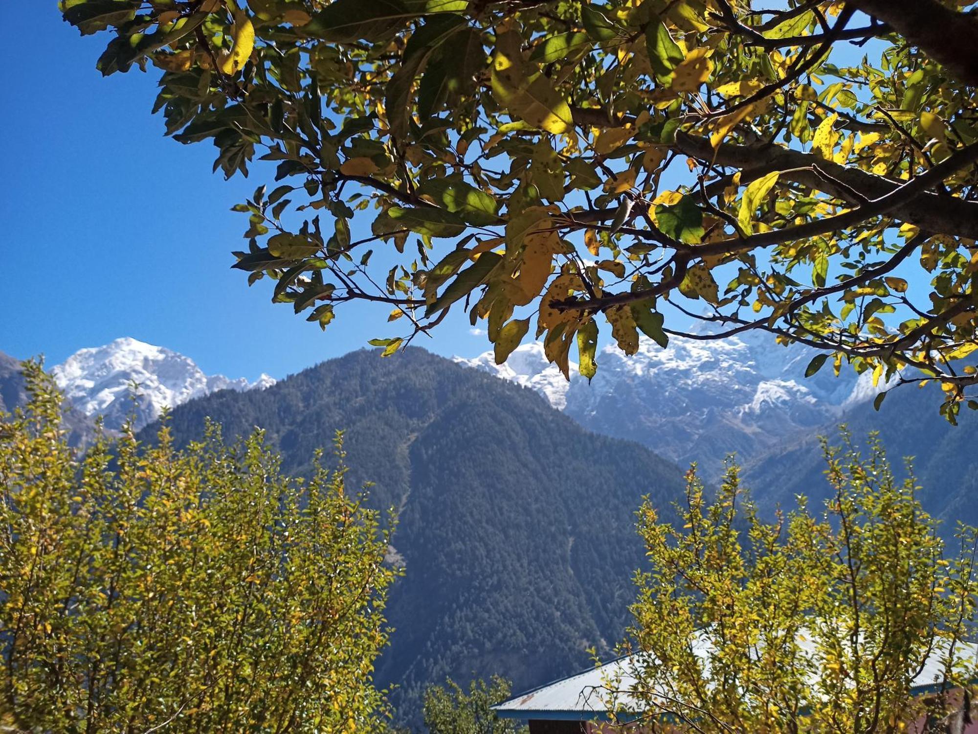 The Shudarang Inn Kalpa Bagian luar foto